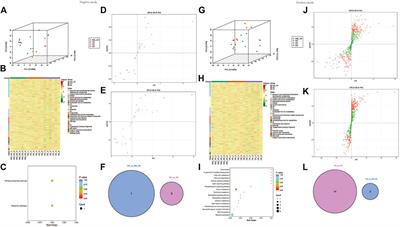 Integrated transcriptome and metabolome analysis to investigate the mechanism of intranasal insulin treatment in a rat model of vascular dementia